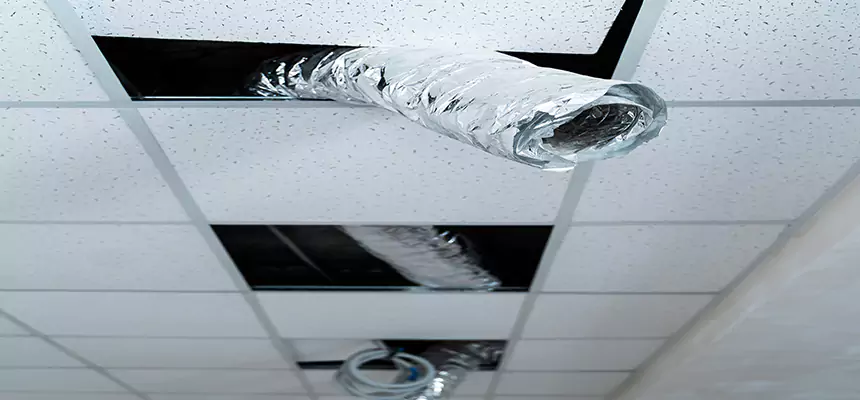 Affordable HVAC Sanitizing After Pest Removal in Converse