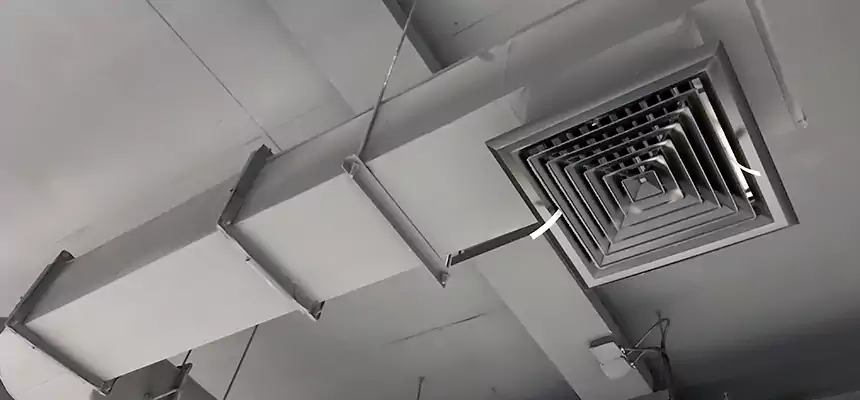 Our Pest Removal From Ducts Services in Converse, TX