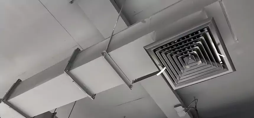 Our Rodent Droppings In Vents Services in Converse, TX