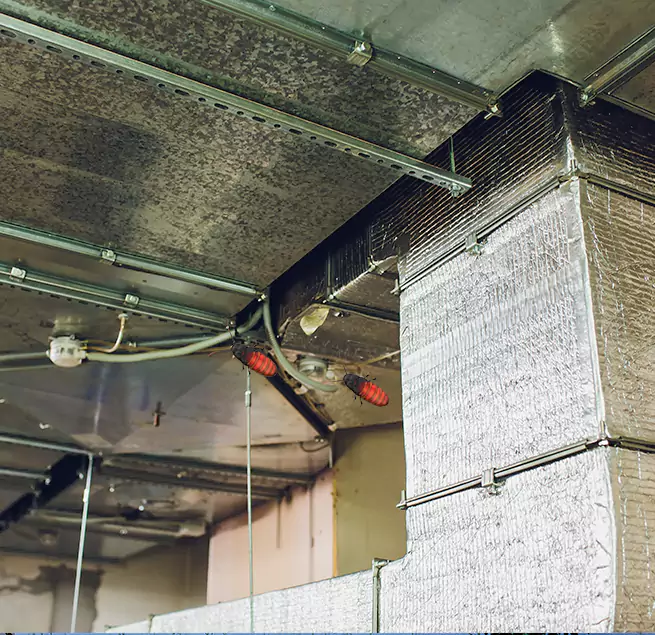 Why Homeowners & Businesses Trust Us in Converse, TX?