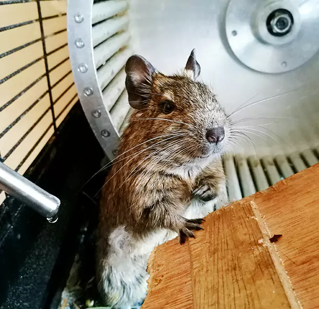 Why Homeowners & Businesses Trust Us Converse, TX